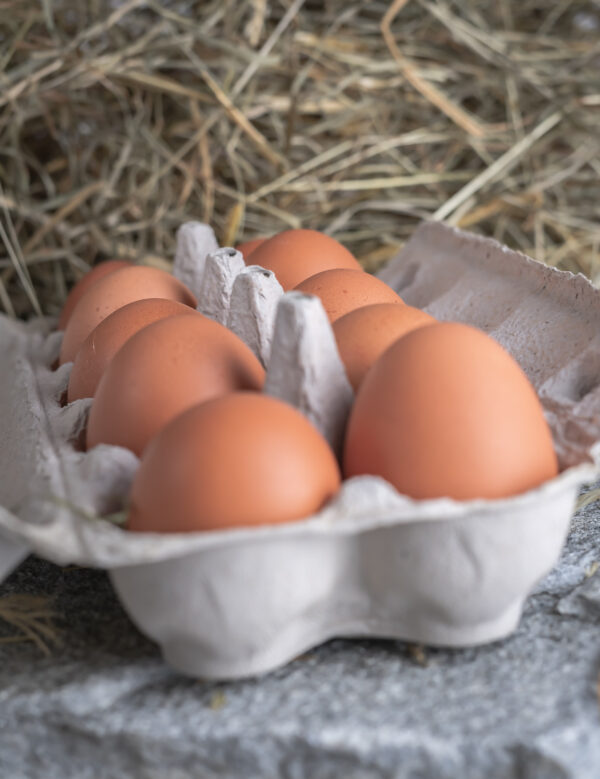 Eier